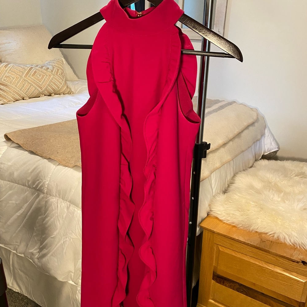 Ted Baker fuchsia mini dress- worn one time.